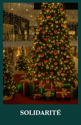 Solidarité
