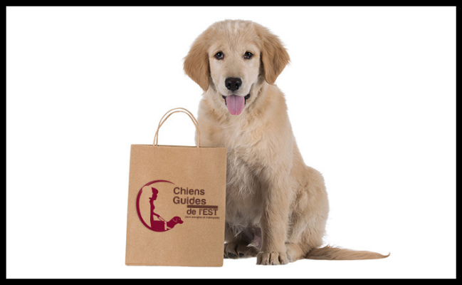 GOLDEN PET CHIEN GUIDE DE L'EST