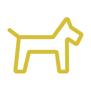 accueil-des-chiens.png
